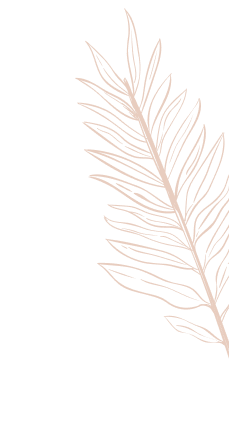 Home Tuition Trivandrum